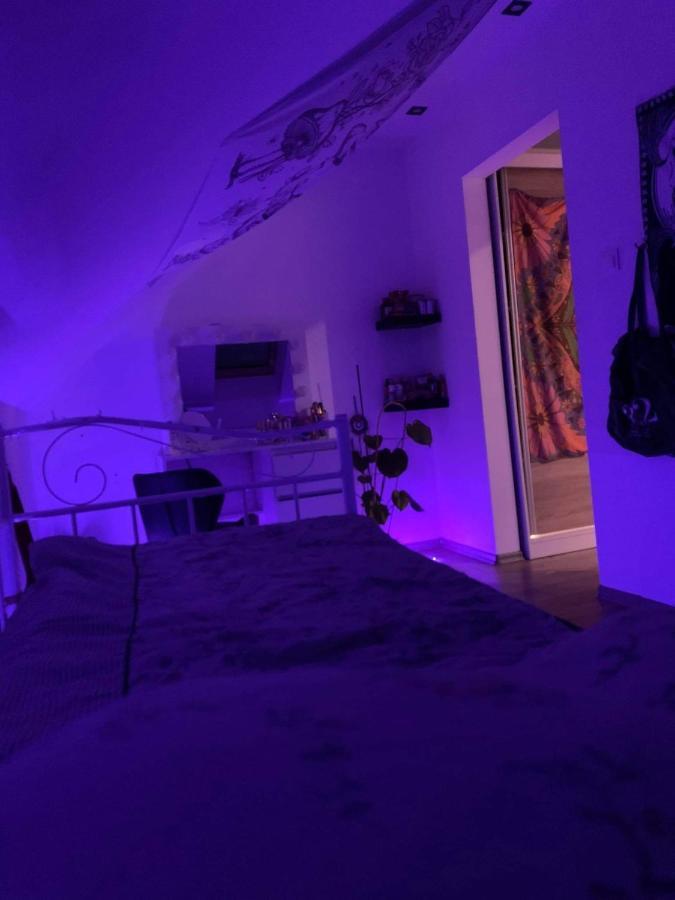 Mieroszyno Nadmorski Dom Pod Lasemヴィラ エクステリア 写真